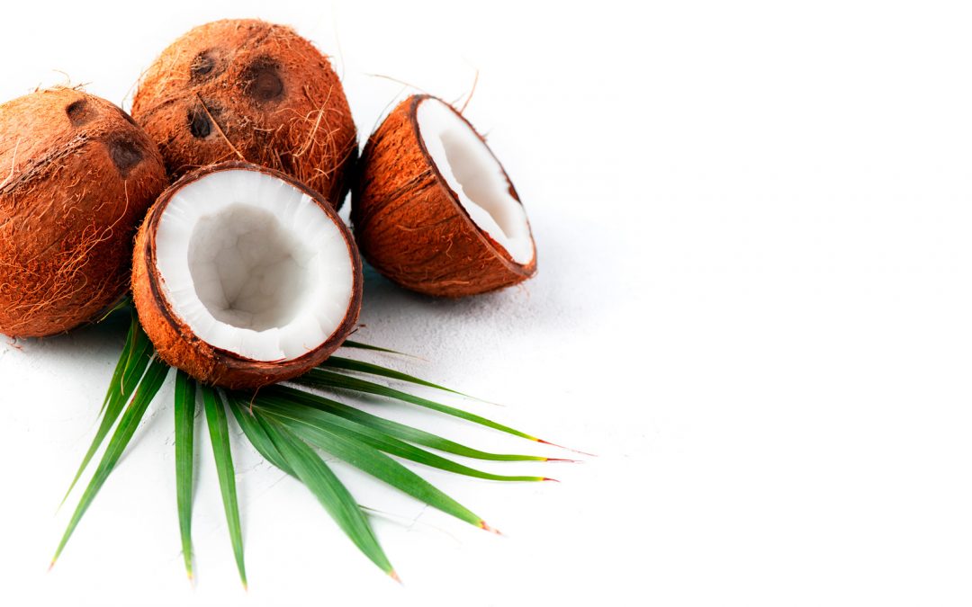 Cocolok: fibra de coco para colchones